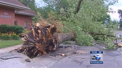 Strong storm damages roofs and knocks over trees in 